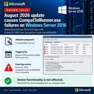 Windows Server console showing an Application Error event in Event Viewer