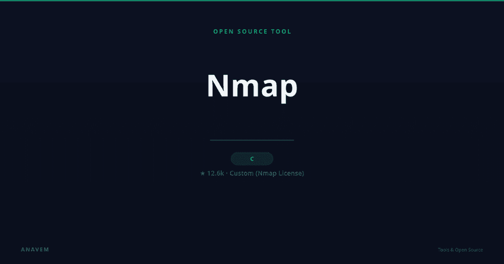 Nmap network scanning results in terminal interface