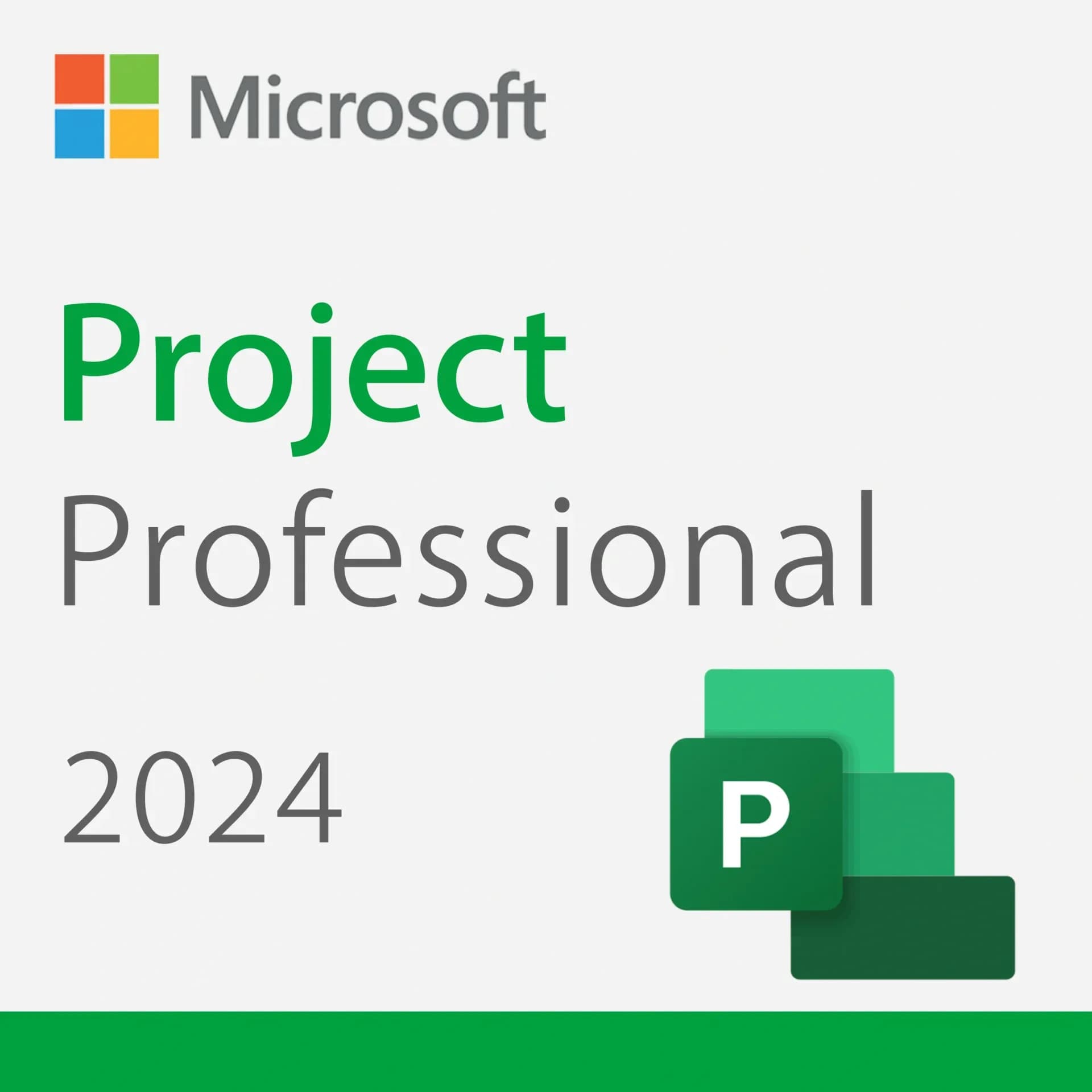 Microsoft Project 2024 Professional