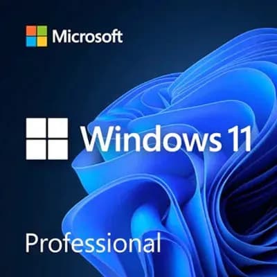 Microsoft Windows 11 Professional